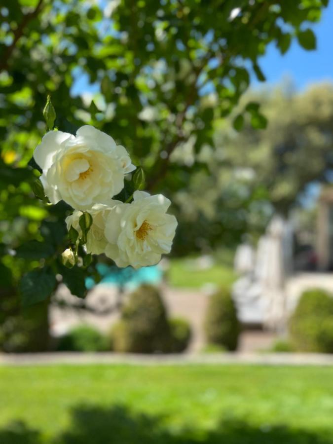 Villa Hautvallon - Peaceful Escape In Provence Gordes Exterior foto